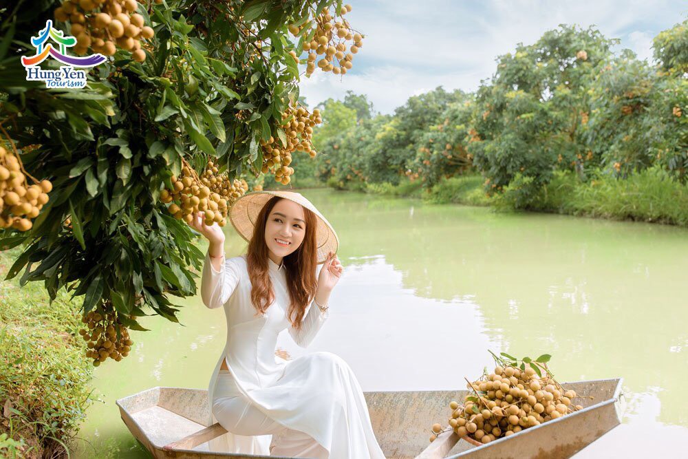 Về Hưng Yên mùa nhãn lồng