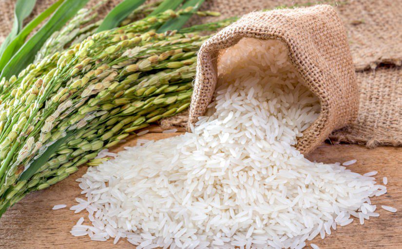 Hạt gạo Hưng Yên – Tinh hoa vùng đất phù sa