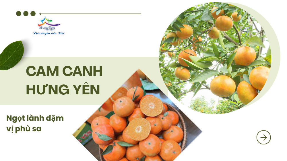 chùm ảnh Hưng Yên- trái ngọt phù sa