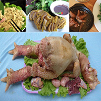 gadongtao_1461290353